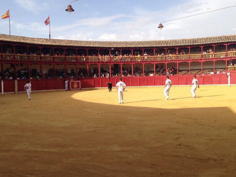 Fiestas Toro- concurso de jóvenes cortadores