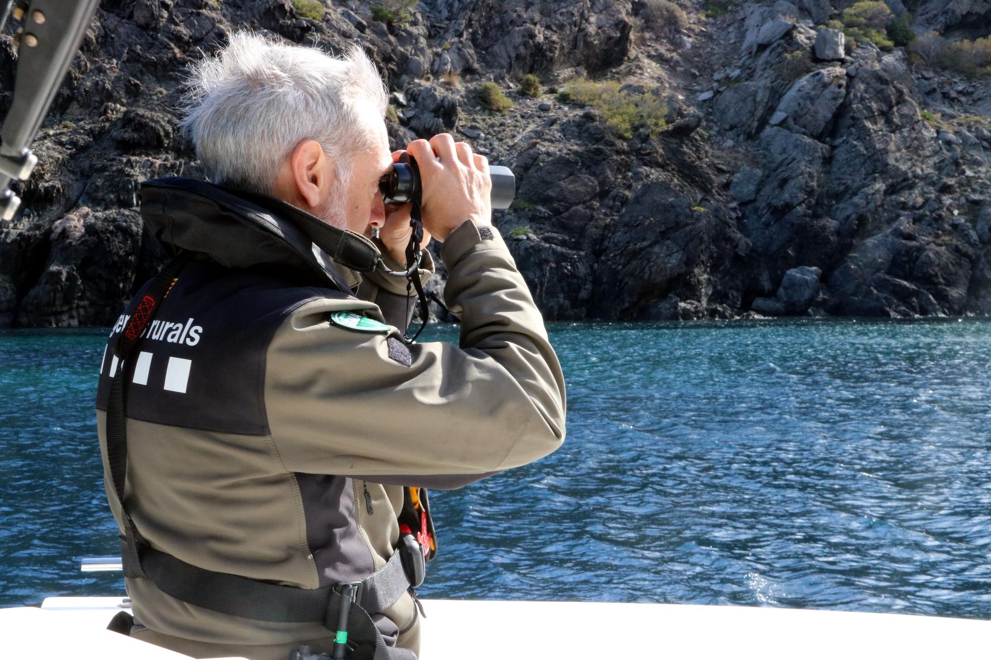 Un agent rural fent una inspecció per mar