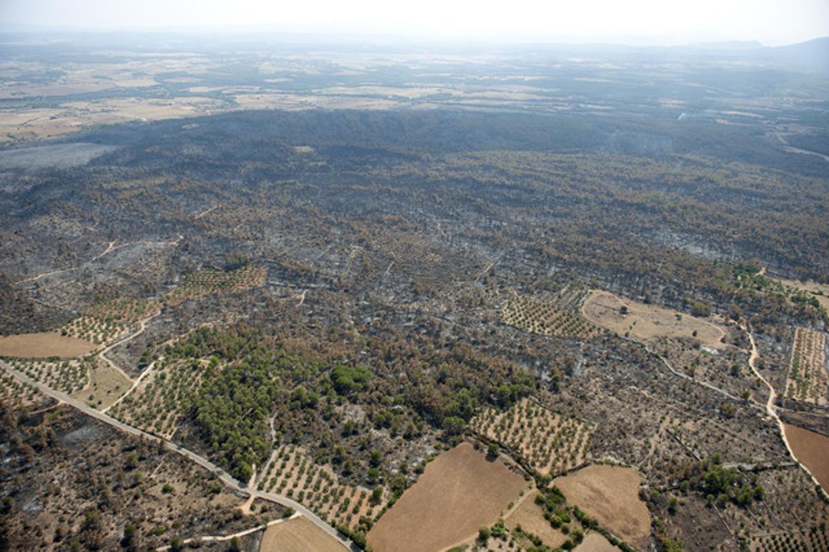 Panoràmica de lAlt Empordà en direcció sud