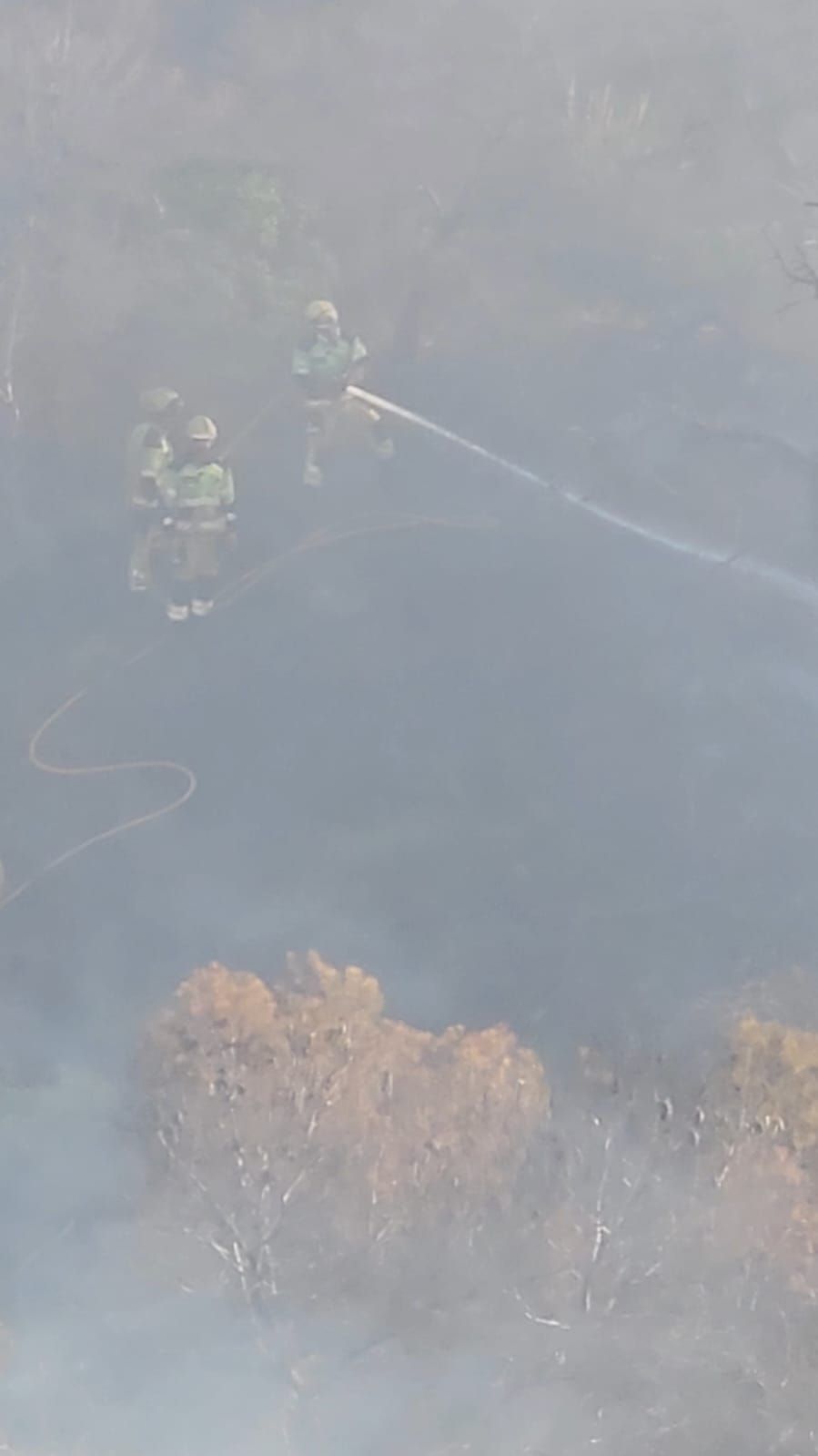 Las llamas del incendio en Orihuela Costa