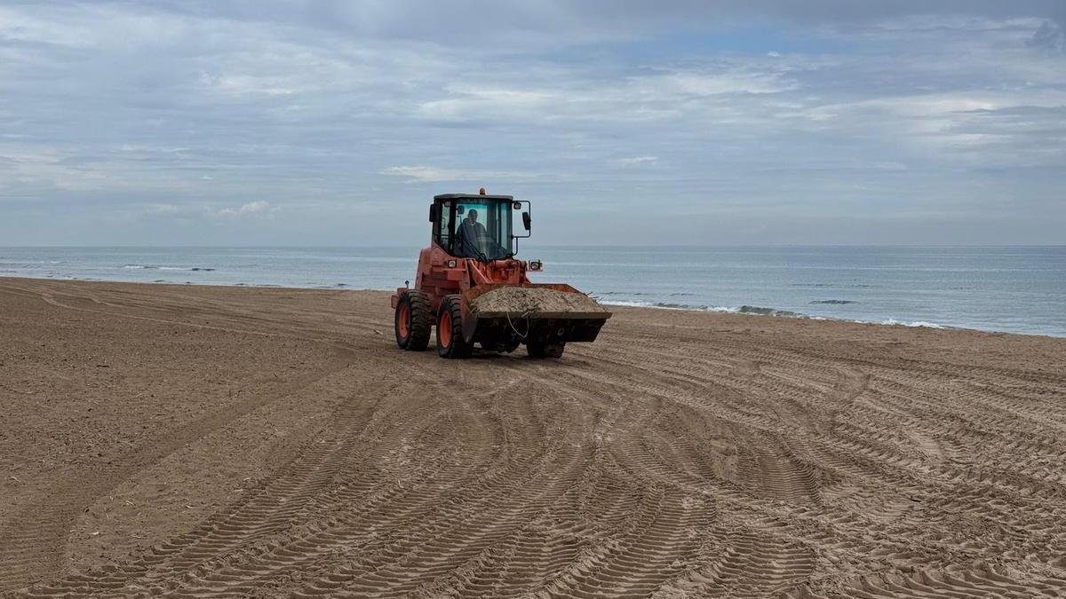 Trabajos de limpieza en las playas de Sueca