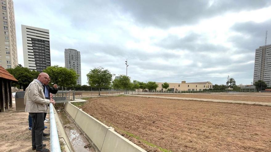 El Ayuntamiento de València anuncia la reapertura de los huertos urbanos de Sociópolis año y medio después de la dana