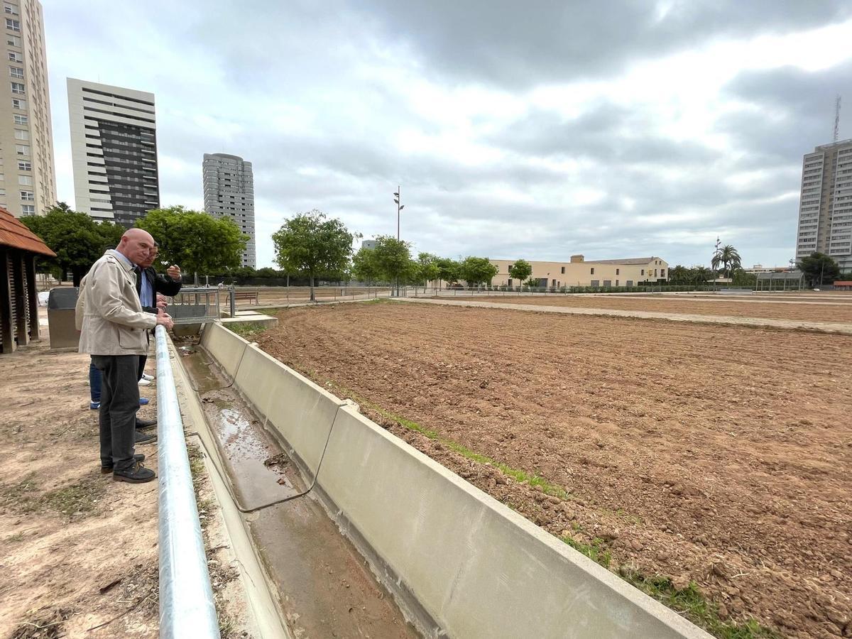 Visita a los huertos urbanos de Sociópolis, en La Torre.