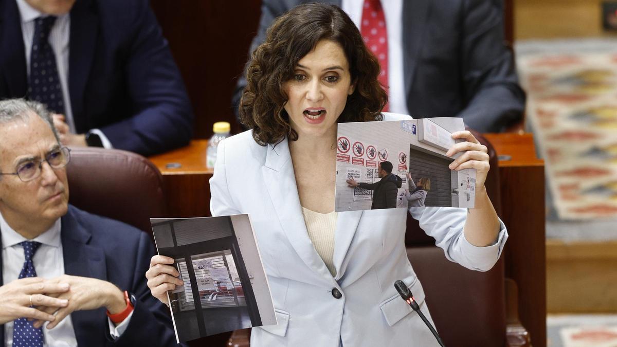 Isabel Díaz Ayuso en la Asamblea de Madrid.