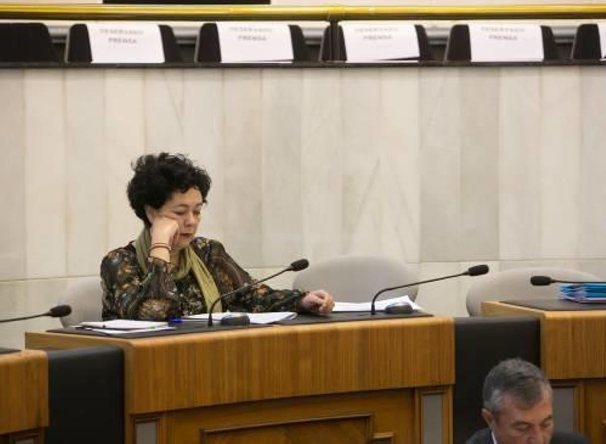 La diputada de Esquerra Unida, Raquel Pérez, durante un pleno de la Diputación de Alicante.