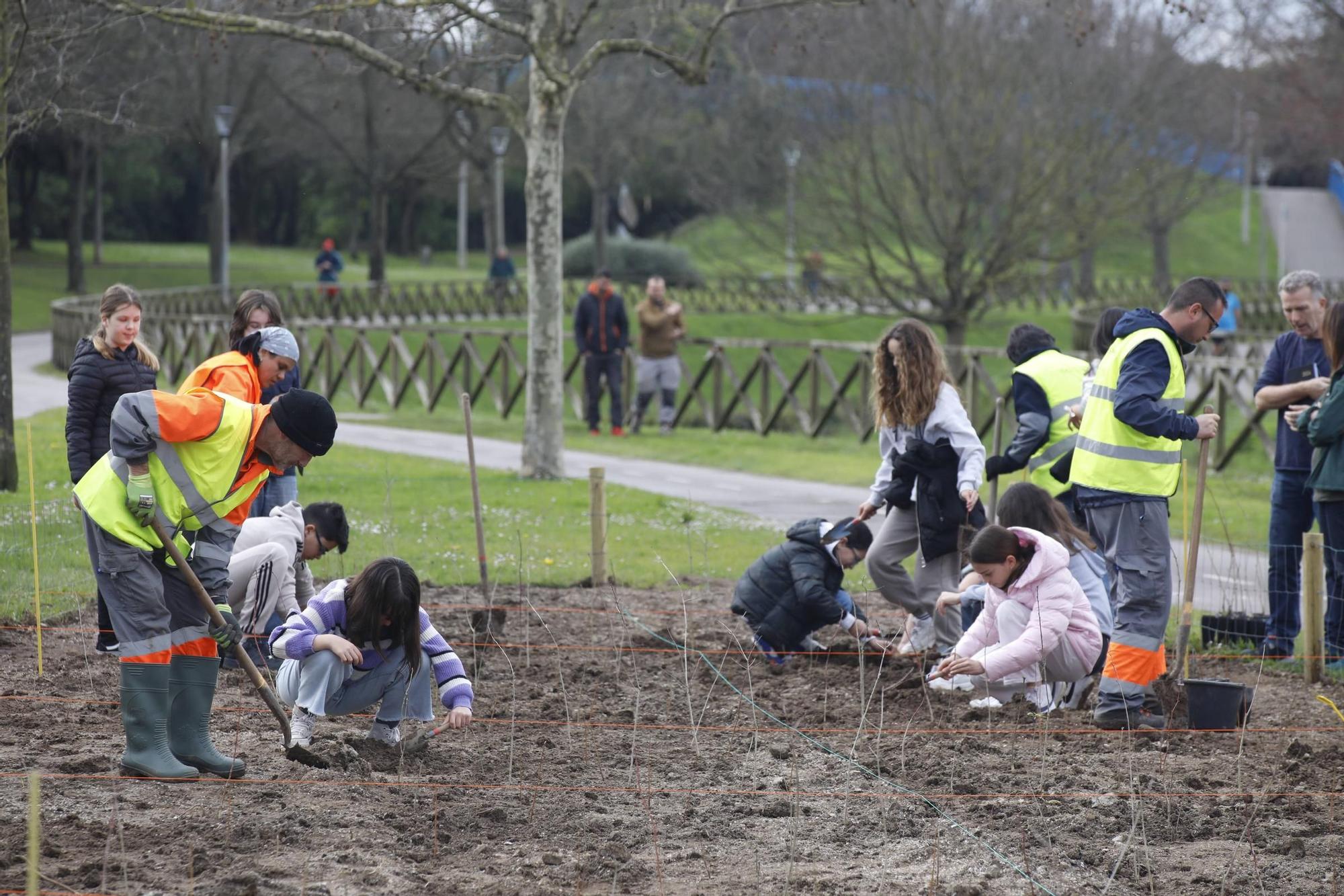 El secretario de Estado Hugo Morán participa en la plantación de minibosques en Gijón (en imágenes)