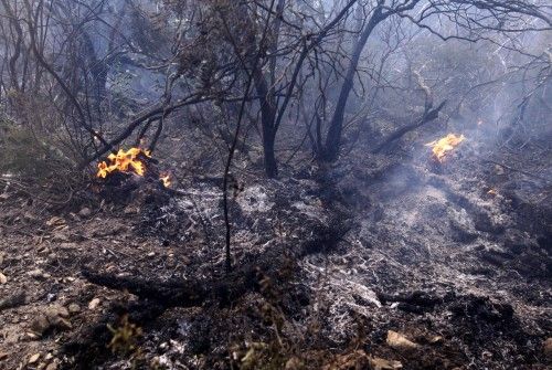 Incendi forestal a peu de les Gavarres