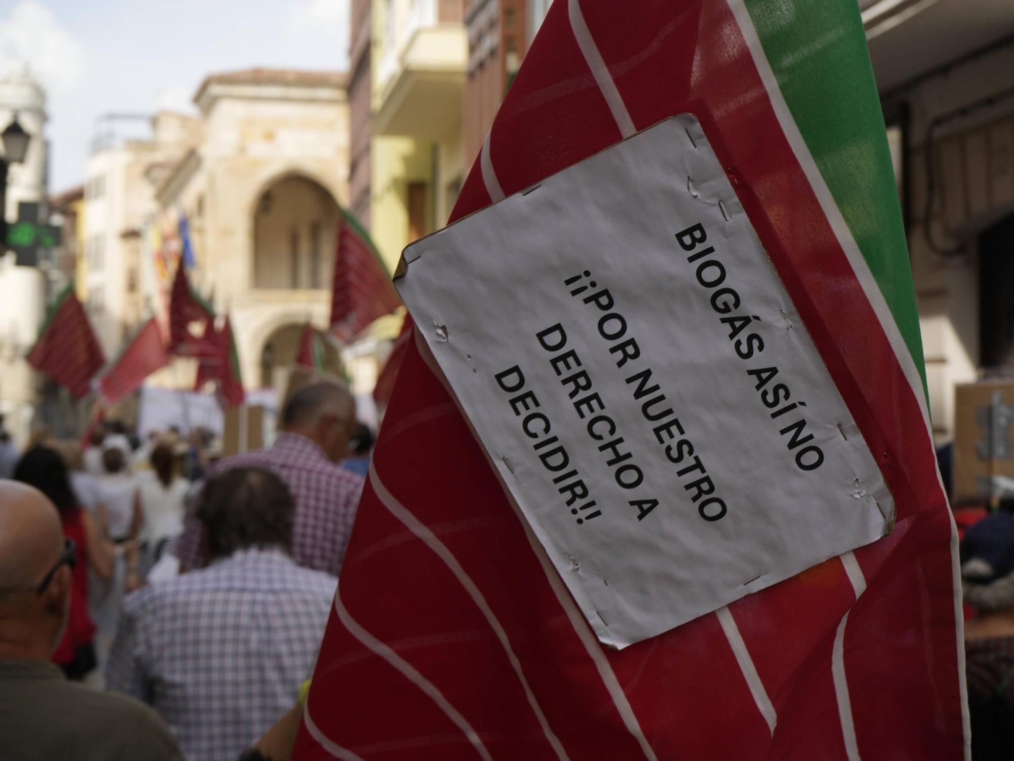 Zamora se suma a la convocatoria nacional contra el biogás