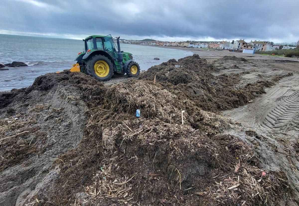 Trabajos de reacondicionamiento de las playas en uno de los tramos del término municipal de Casares.
