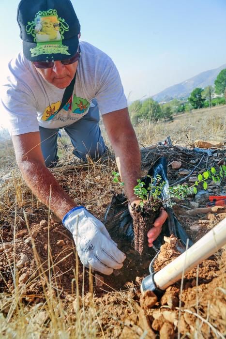 La Tercera Edad participa en la plantación de un centenar de árboles