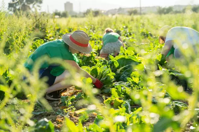 Del 'espigueo' a los laboratorios 'mutantes': ¿quién dijo que los jóvenes no combaten el cambio climático?