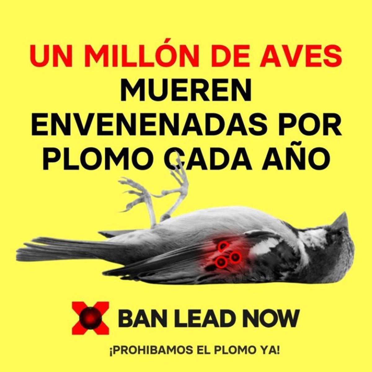 Campaña de SEO-Birdlife contra el plomo