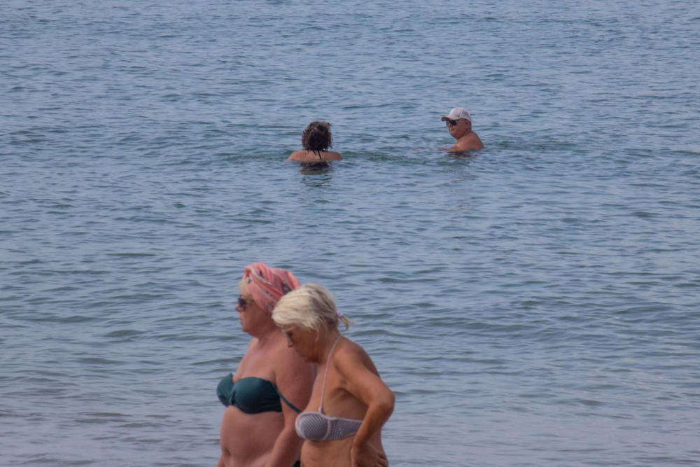 Primer día de baño autorizado en las playas de Torrevieja con arena parcelada y controles de acceso