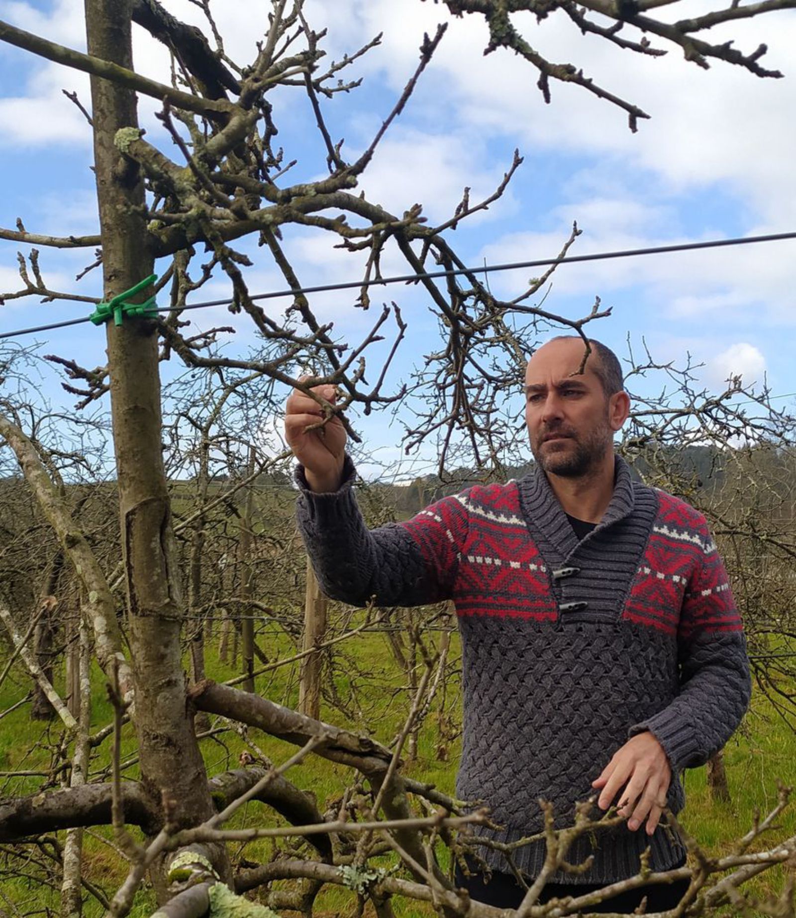 Marcos Miñarro, en una plantación de árboles frutícolas en la sede del Serida. |