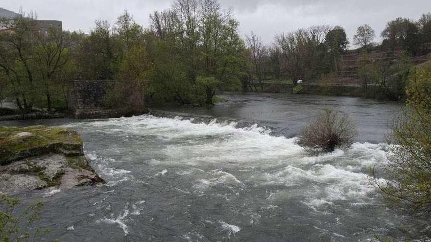 El río Avia al límite de su capacidad a su paso por A Foz (Ribadavia). // Faro