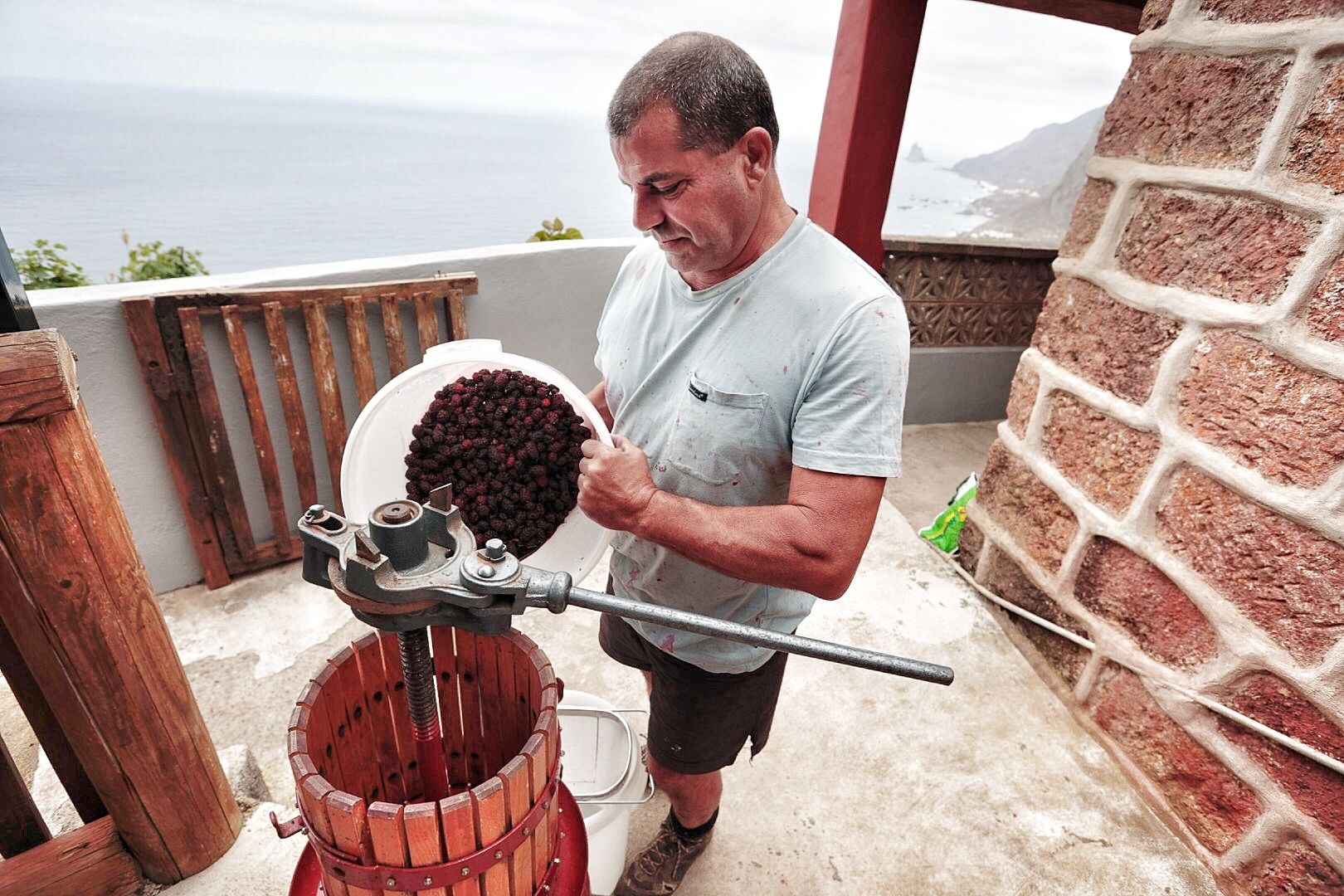 Vino de mora elaborado en Taganana