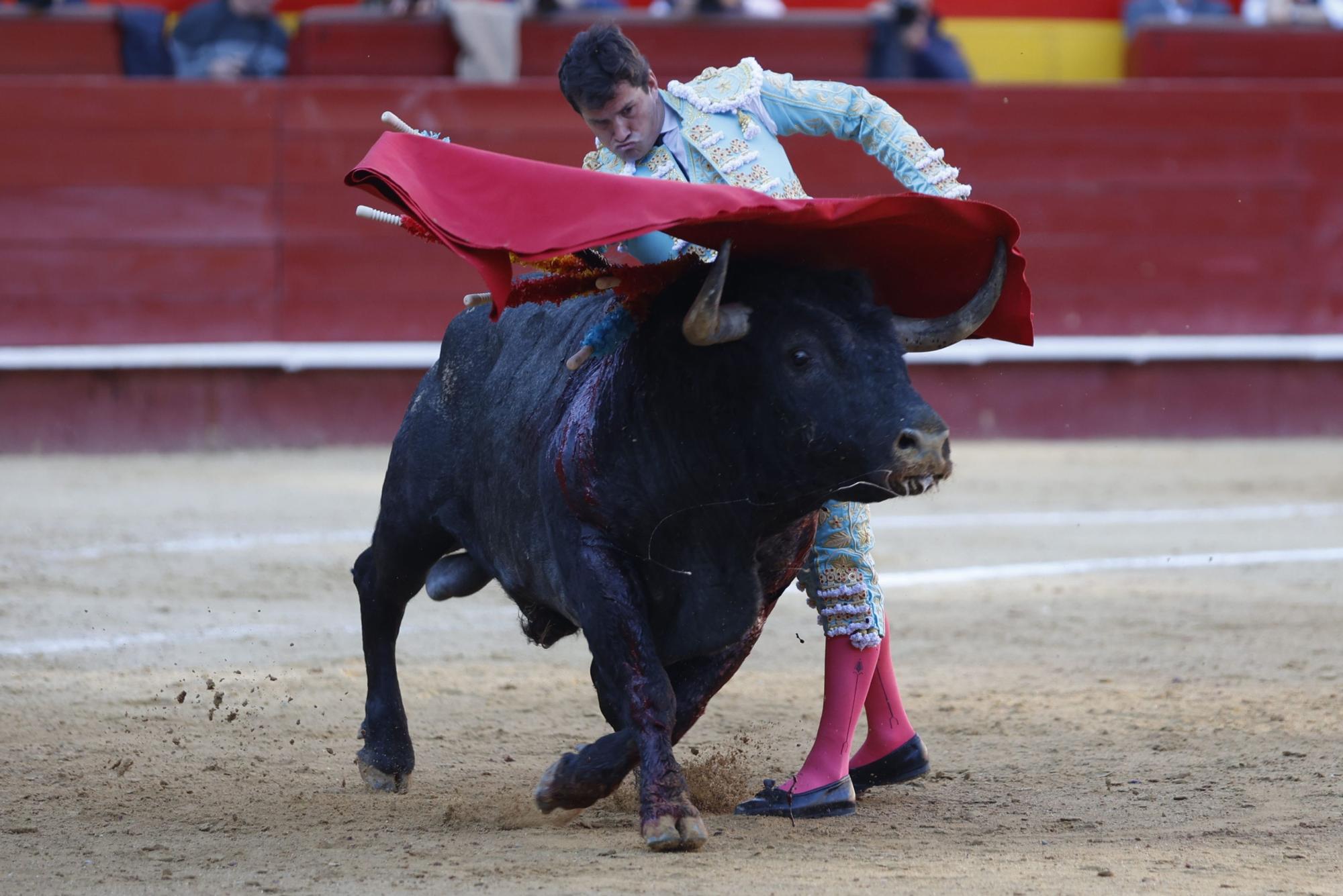 El triunfo de Daniel Luque en la Feria de Fallas