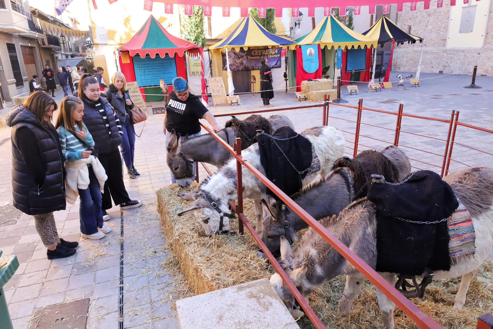 Las mejores imágenes de la 'Fira de Sant Andreu' i 'Almassora Vi'