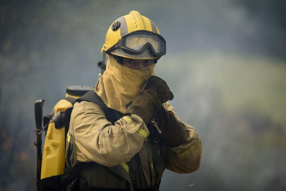 Incendio en los montes de León