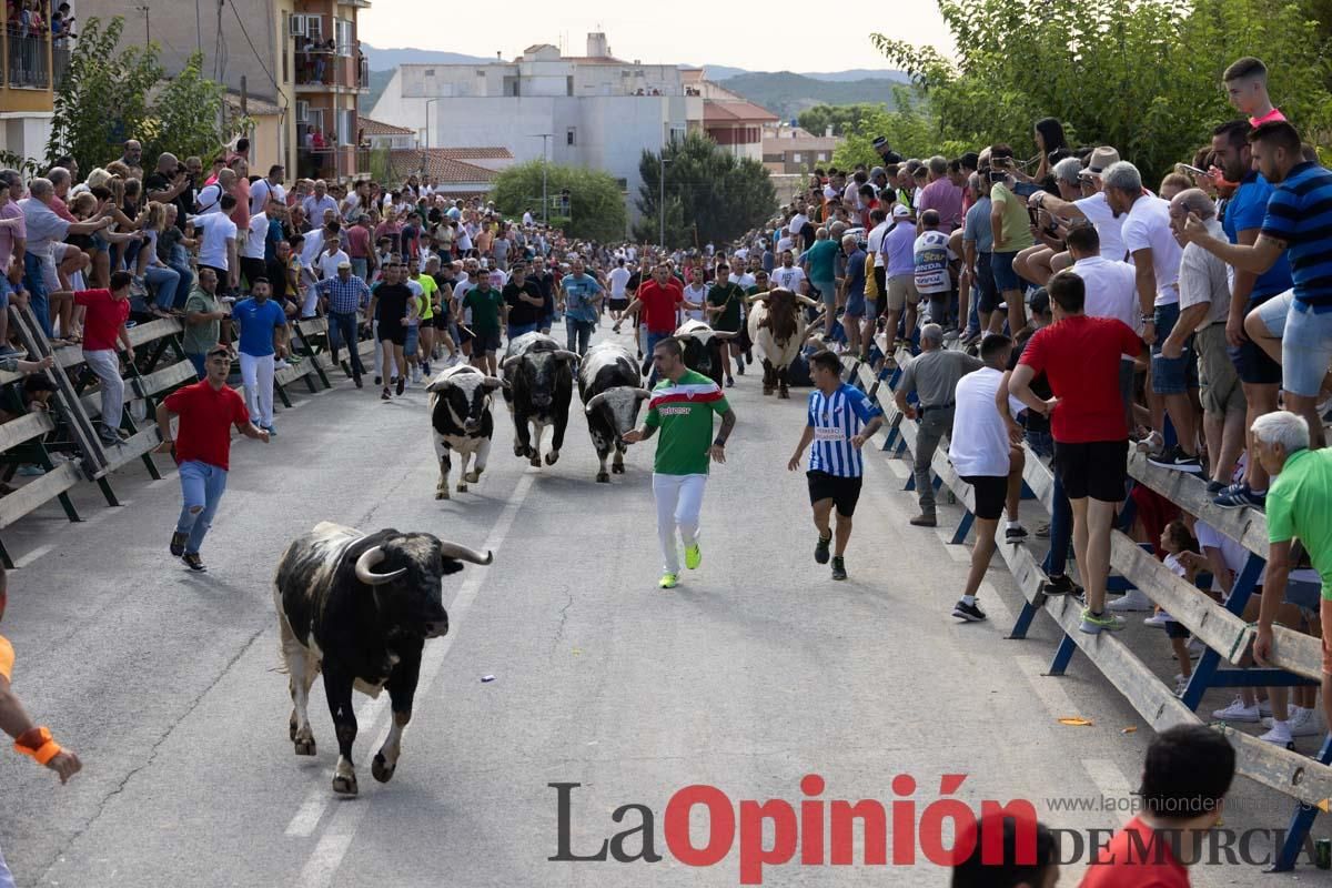 Primer encierro de la Feria del Arroz de Calasparra