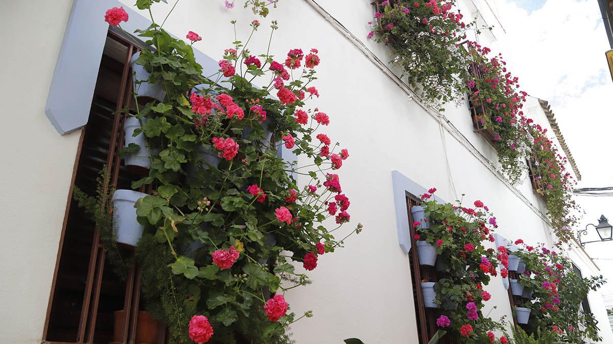 Tafures 4 gana el concurso de rejas y balcones.