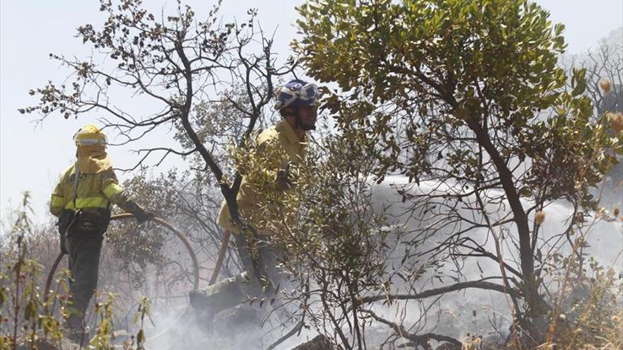 Menos terreno quemado pese a las peores condiciones posibles