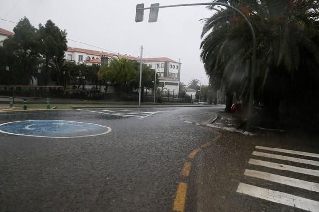 Delia Padrón lluvias , temporal , barrancos ...