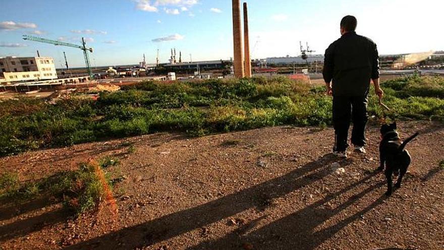 Terrenos de Benalúa Sur todavía sin urbanizar, con las históricas chimeneas y al fondo el Puerto