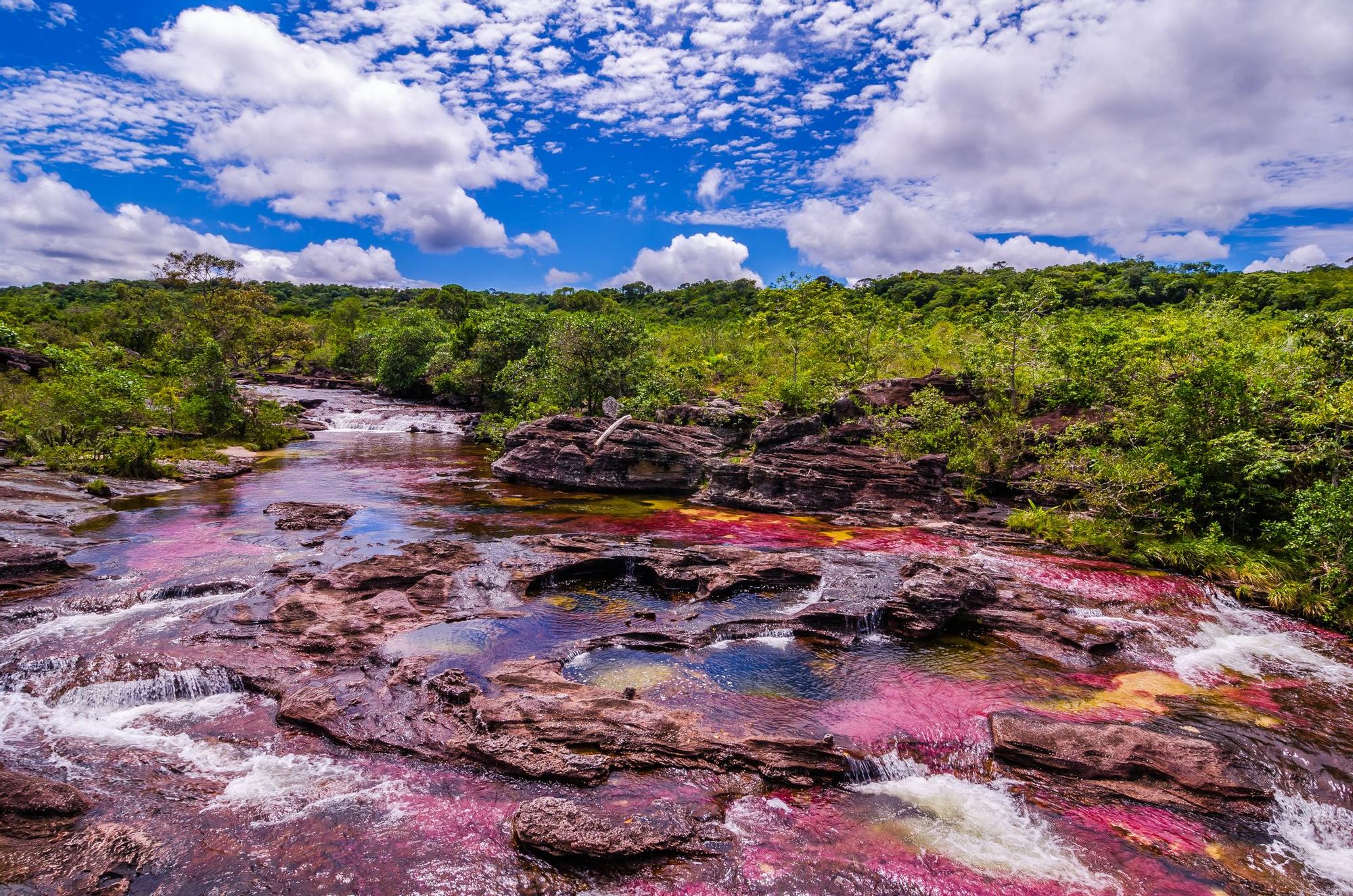 El paisaje colombiano se caracteriza por la biodiversidad y el color