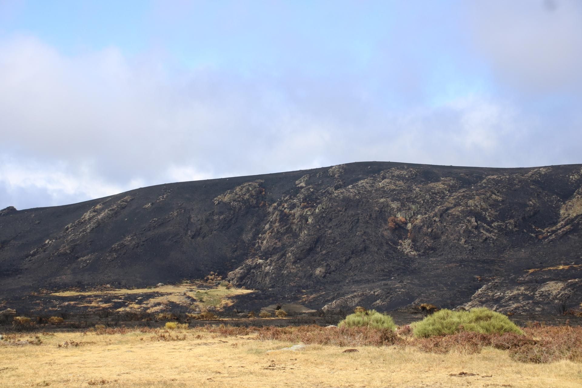 La huella del incendio de Porto - Laguna de Peces