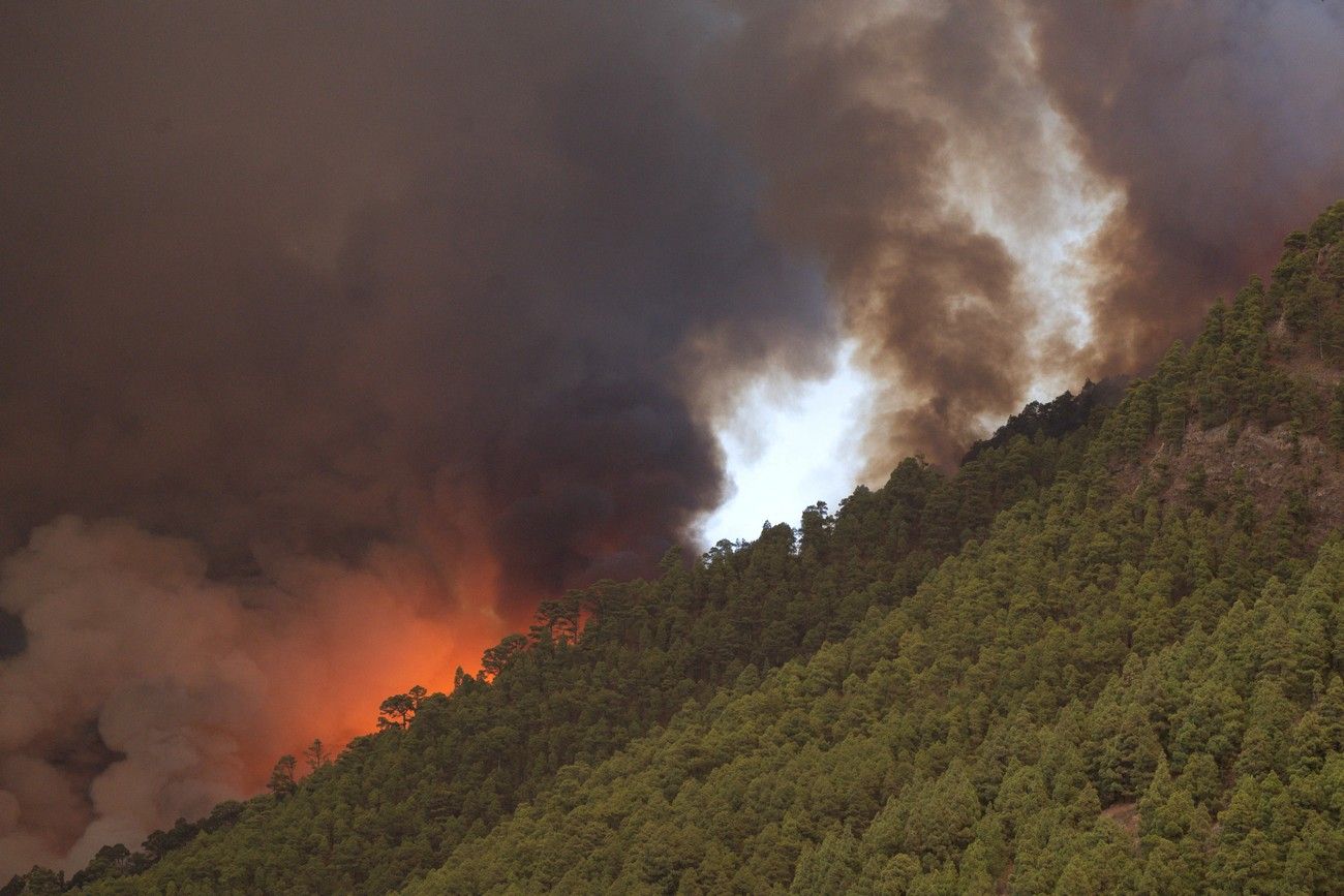 Incendio en Candelaria y Arafo, Tenerife