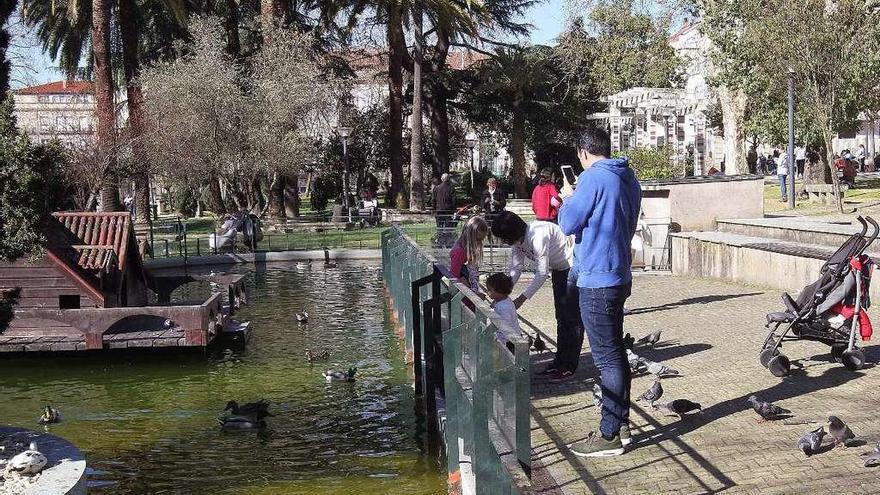 El pavo real que apareció muerto ayer en una fotografía de unas semanas atrás. // Iñaki Osorio