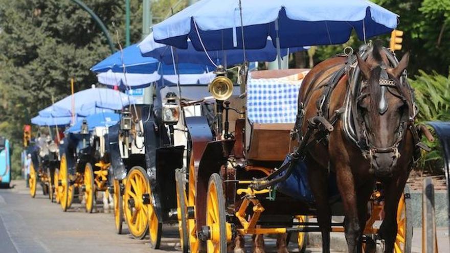 Coches de caballos.