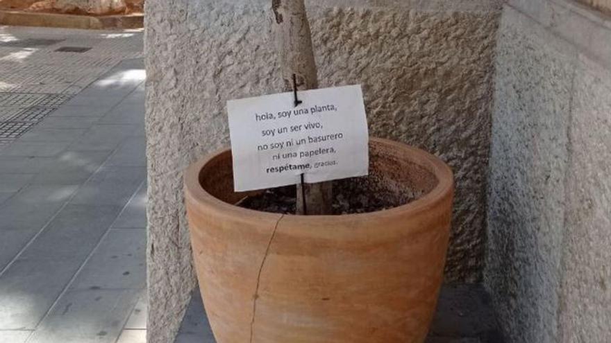 Las plantas también piden respeto | DI