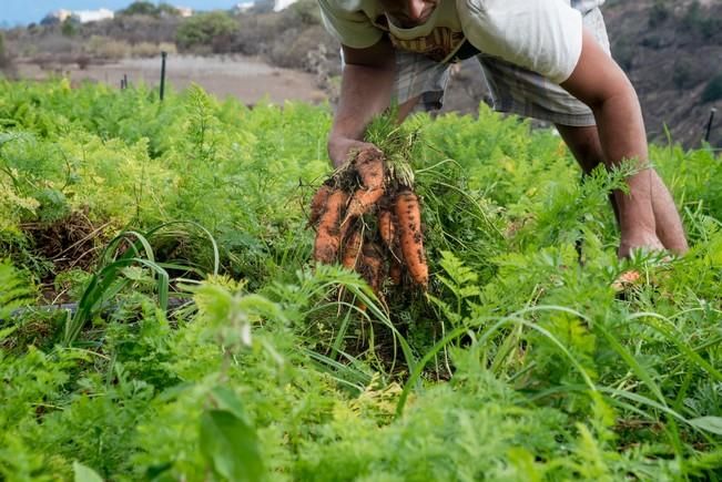 Entrevista al agricultor ecológico José ...