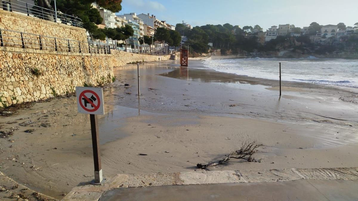 Los efectos de la borrasca en las playas de Manacor