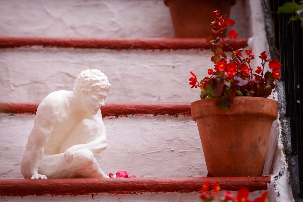 Así lucen los patios más visitados de la fiesta