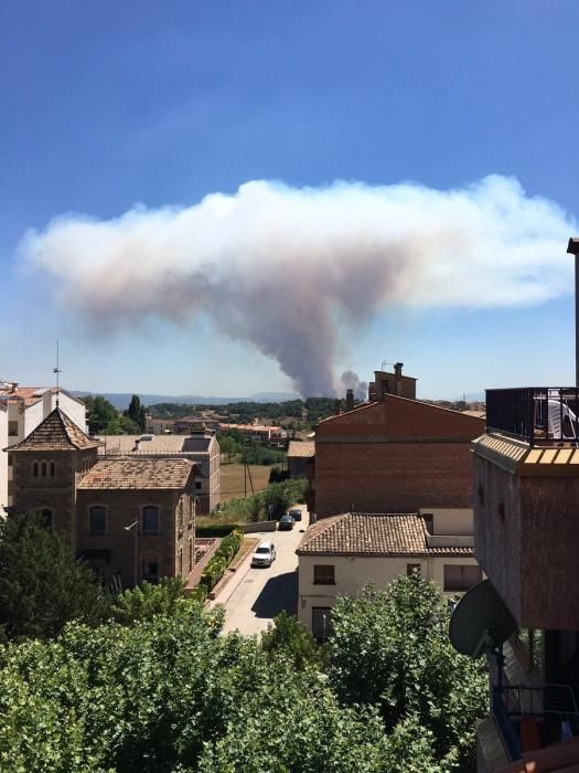 Incendi forestal a Sant Feliu Sasserra