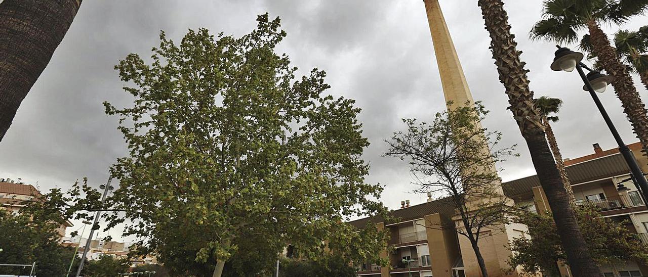 Parque Pere IV de Ontinyent, donde se han detectado casos de intoxicación, en una foto de archivo | PERALES IBORRA