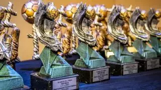 Pitxitxis i Zamores del futbol a l'Alt Empordà: així està el llistat dels Premis Amos de l'Àrea