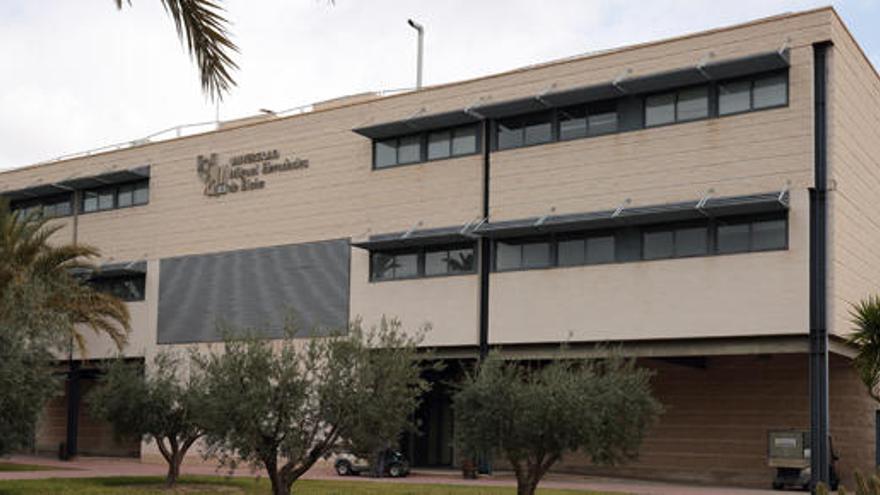 Universidad Miguel Hernández de Elche.