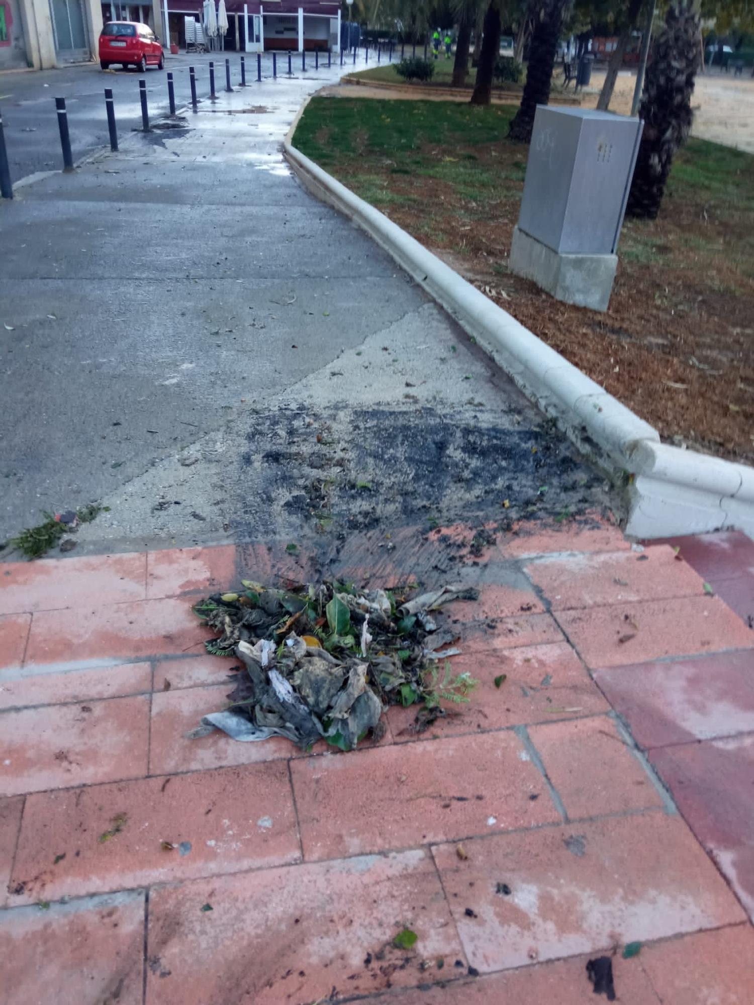 Ratas muertas, basura y restos fecales tras la tormenta en Alicante