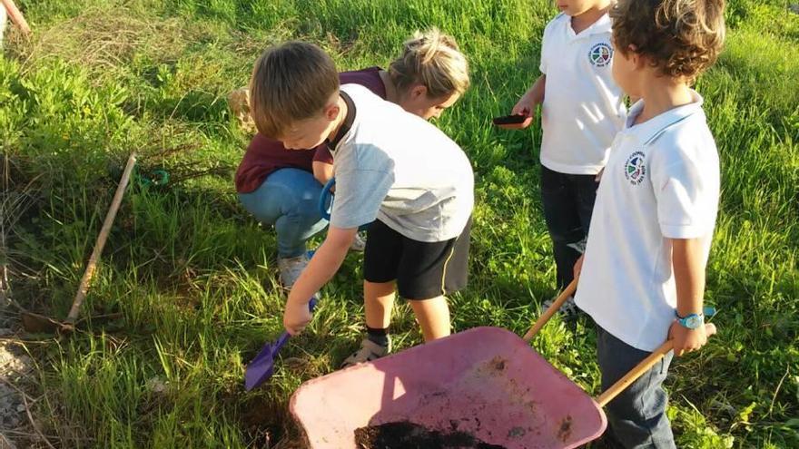 La Comissió Ambiental a Son Verí Nou