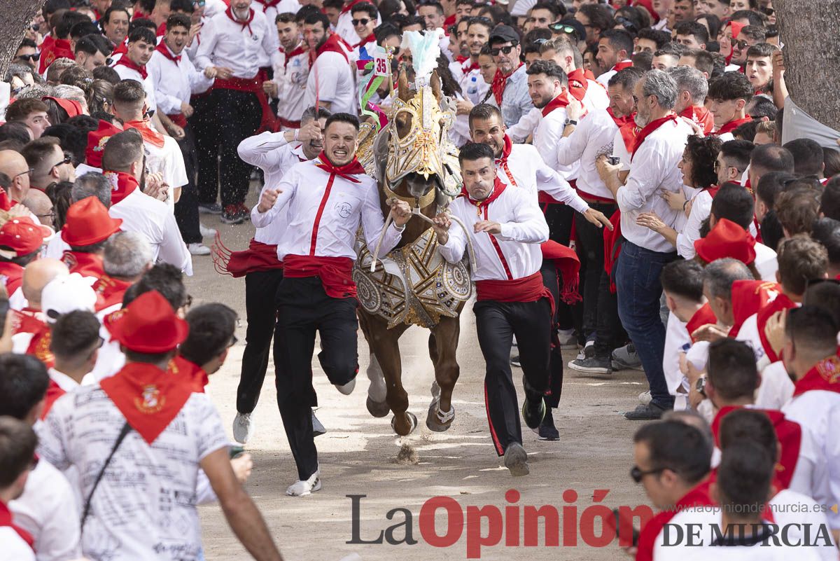 Así se ha vivido la carrera de Los Caballos del Vino en Caravaca