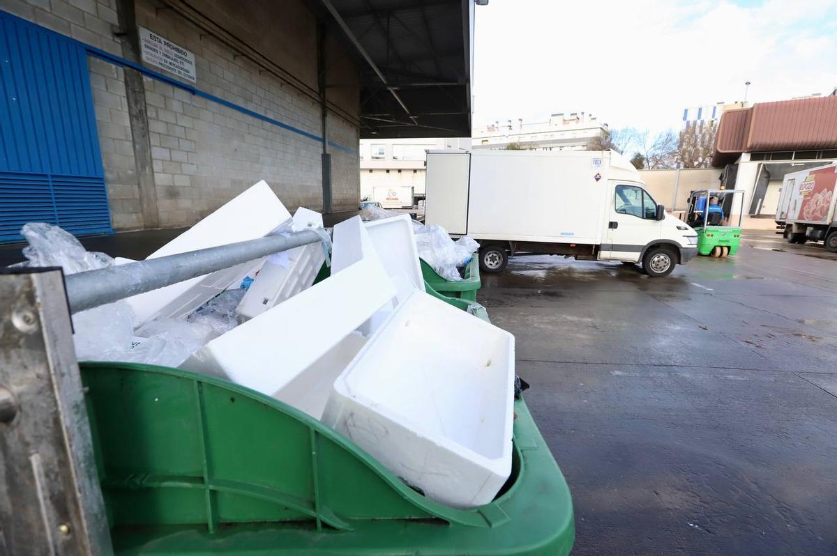 Cajas de pescado en un contenedor de Mercacórdoba.