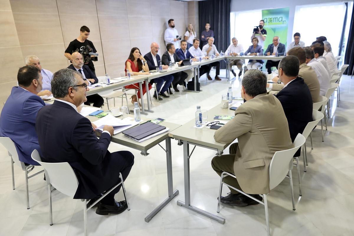 Café Ambiental organizado este martes por la Asociación de Empresas de Medio Ambiente de la Región de Murcia (AEMA)
