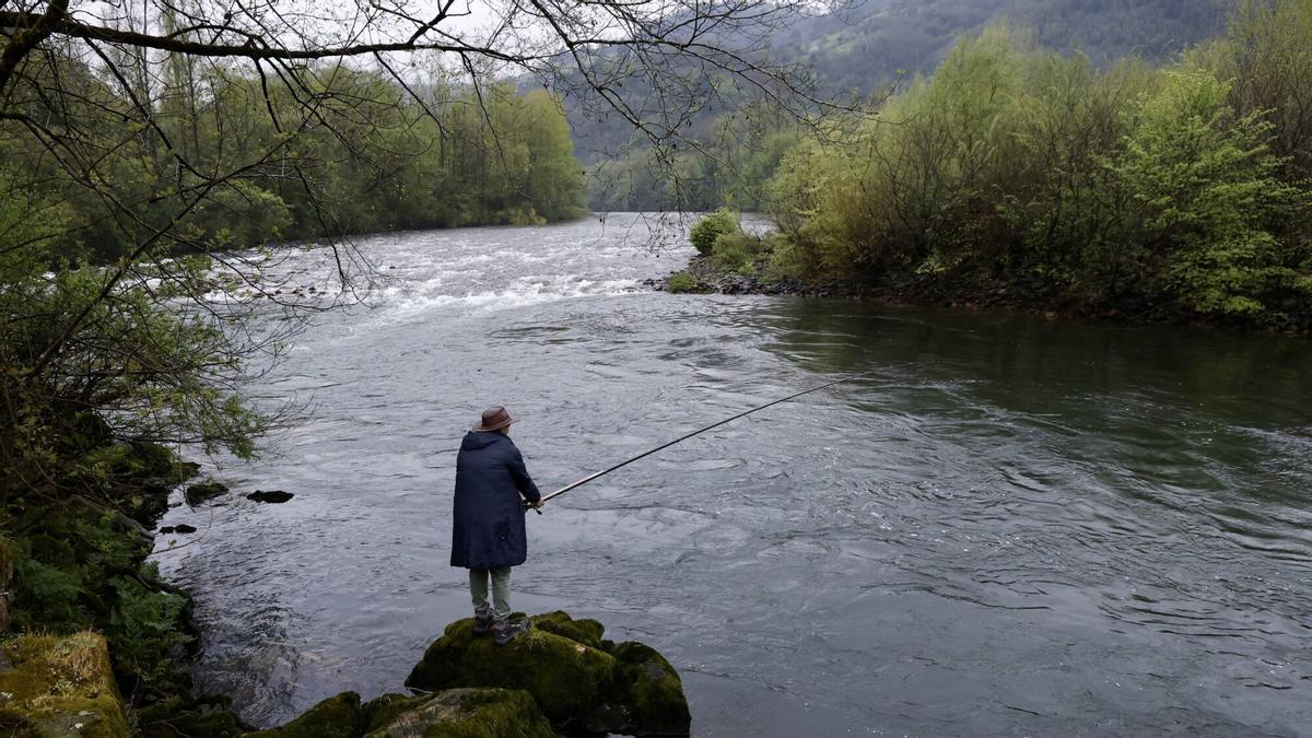 Un pescador en el río Narcea.