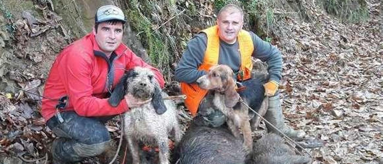 Diego e Iván, monteros de la cuadrilla Carasu, con tres de los seis jabalíes abatidos en el Sueve (Libardón).