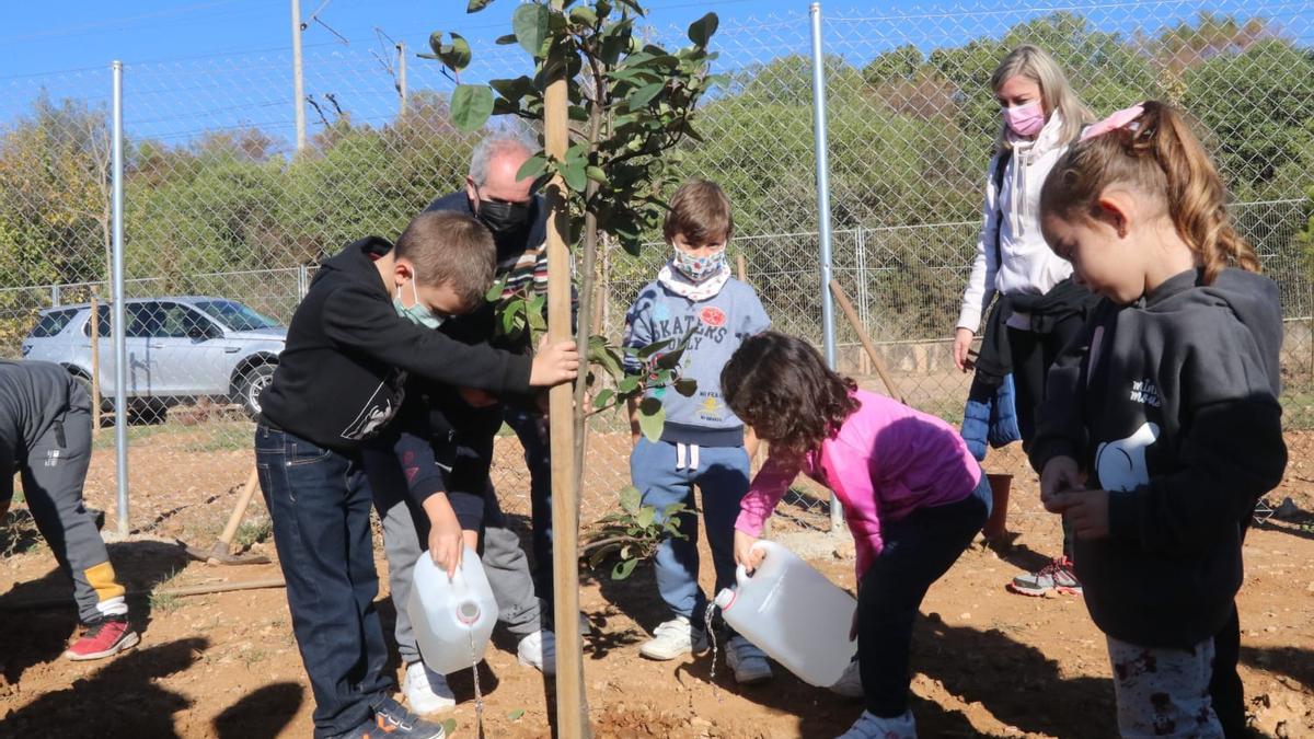 Plantación de árboles que ha tenido lugar en el Parque de Levante.