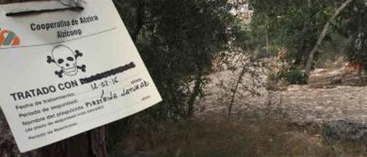 El PP lleva al fiscal el uso en parques de Alzira de insecticida «no autorizado»